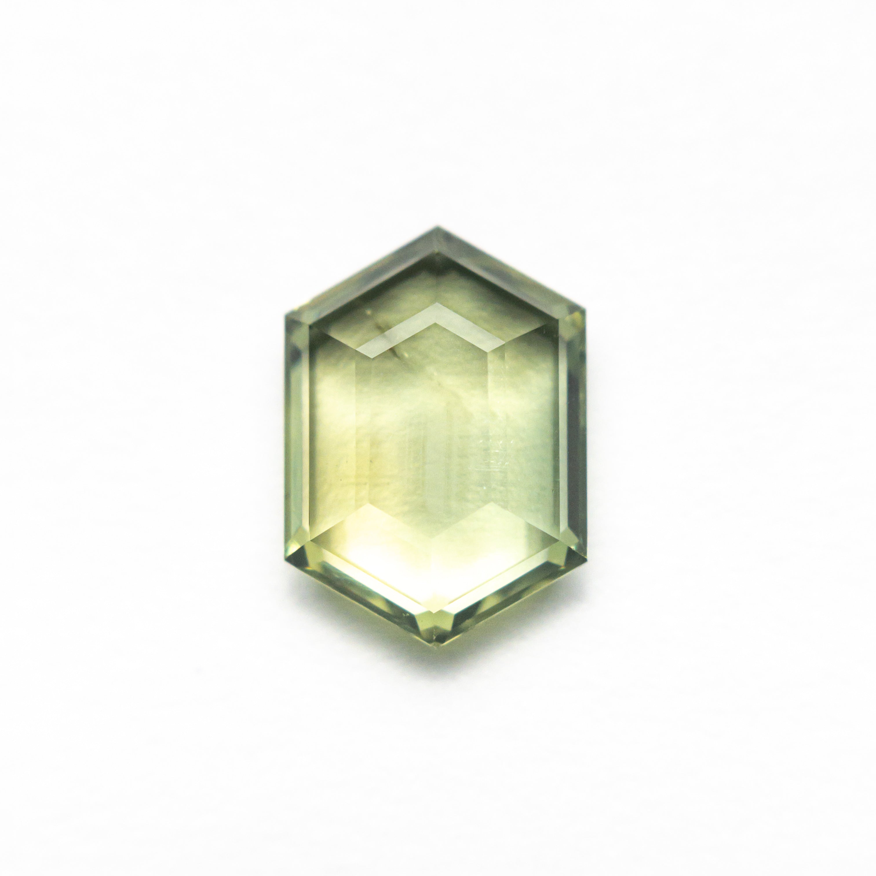 2.03ct 9.18x6.56x2.93mm Hexagon Portrait Cut Sapphire 23678-09-Staghead Designs
