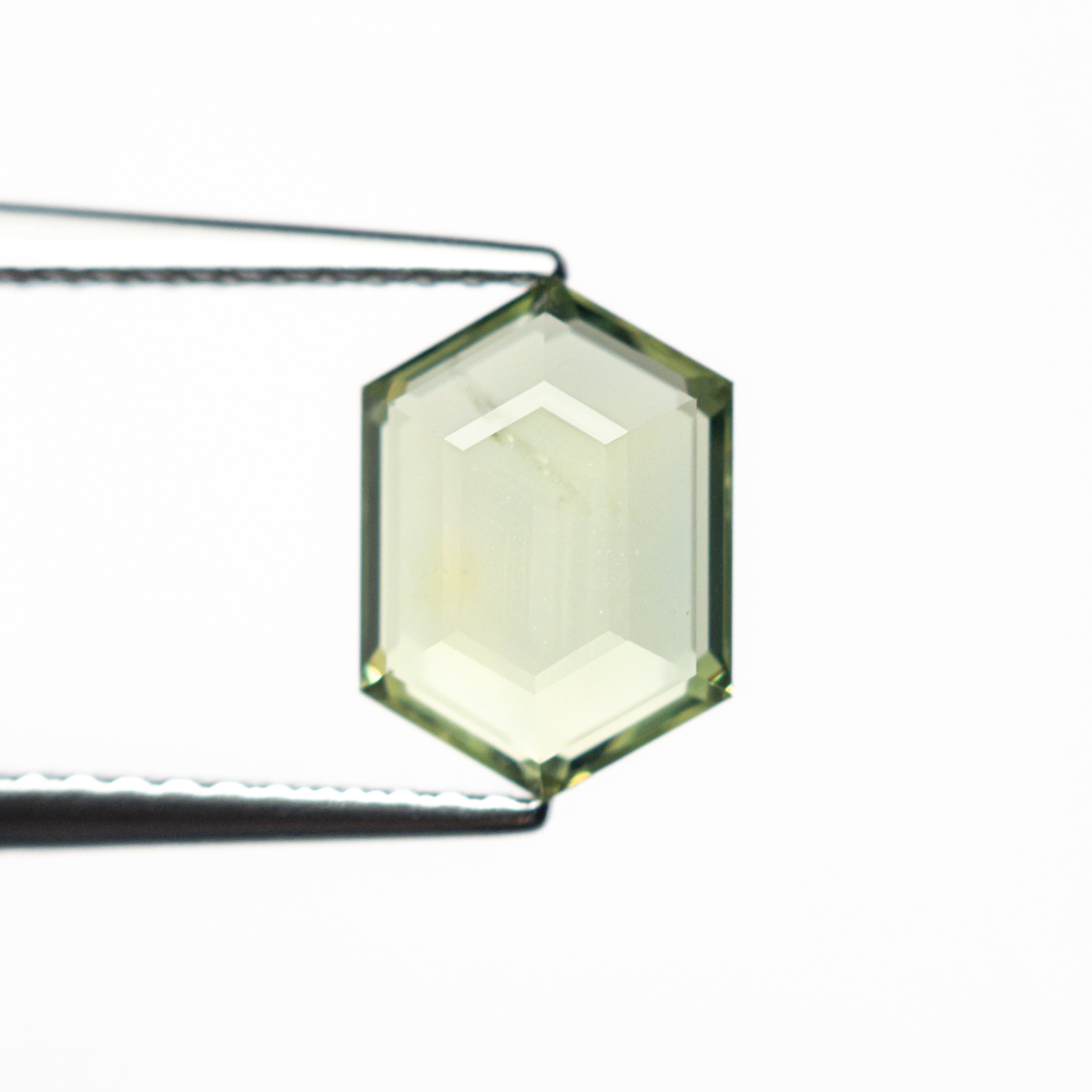 2.03ct 9.18x6.56x2.93mm Hexagon Portrait Cut Sapphire 23678-09-Staghead Designs