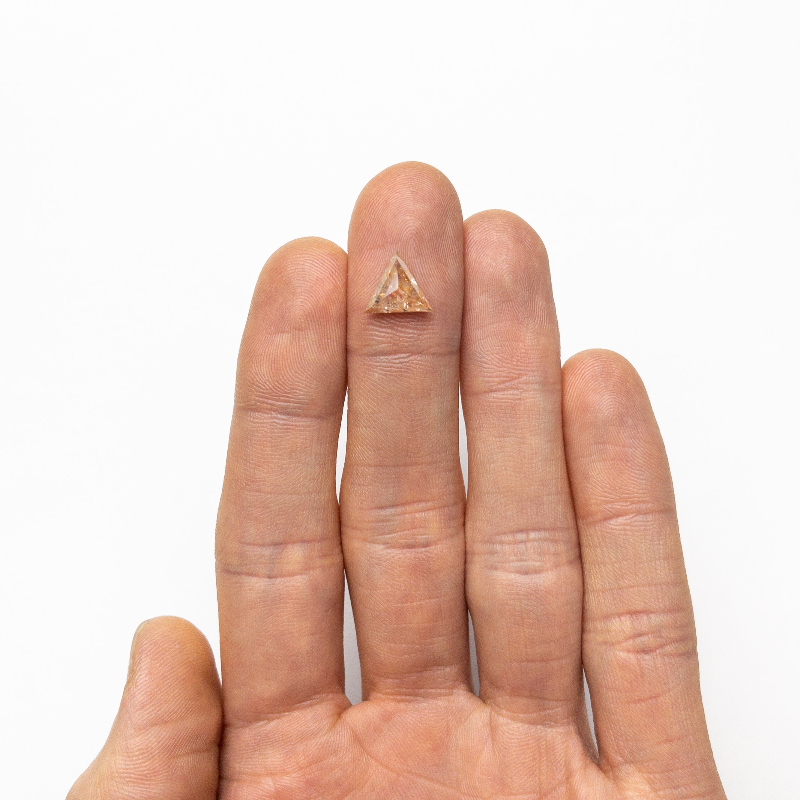 2.03ct 8.92x8.82x4.18mm Triangle Rosecut 24870-01-Staghead Designs