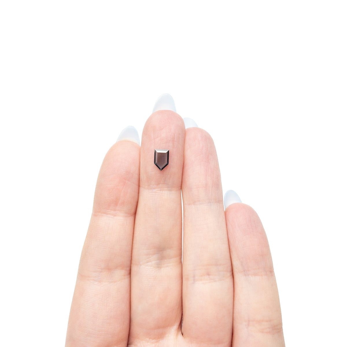 0.50ct 7.08x4.77x1.20mm Shield Portrait Cut Sapphire 27730-03-Staghead Designs