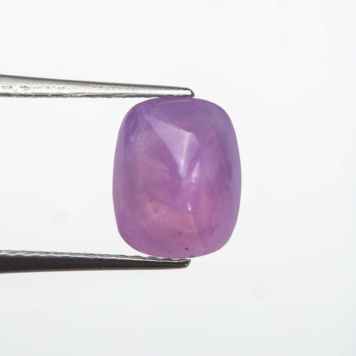 2.96ct 9.00x7.20x5.29mm Sugarloaf Cabochon Sapphire 28220-01-Staghead Designs