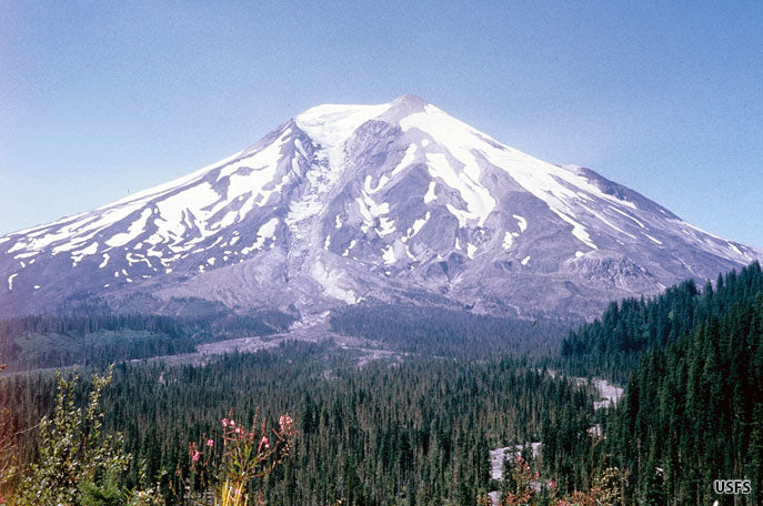 Custom Listing for Faith M-Staghead Designs