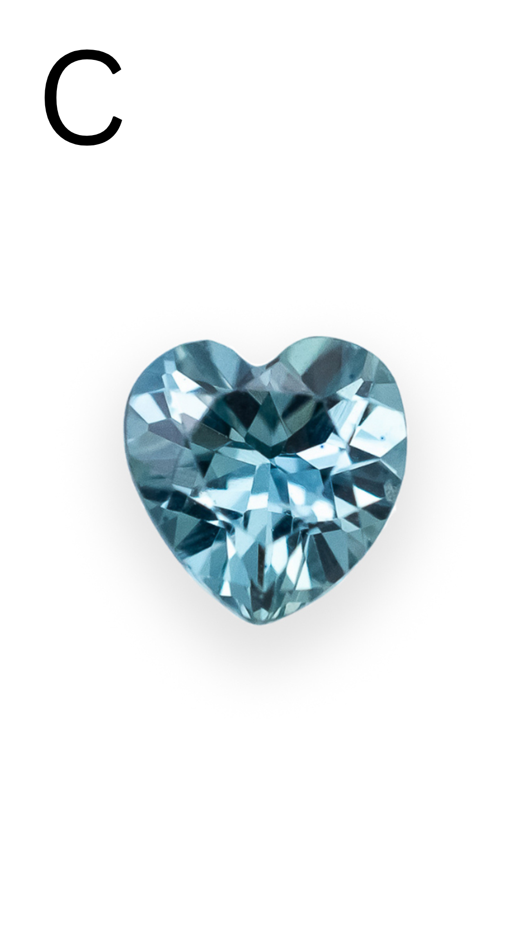 BEZEL SET HEART-CUT SAPPHIRE NECKLACE-Staghead Designs