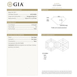 3.15ct 10.56x9.17x3.79mm GIA M VVS2 Hexagon Step Cut 23430-01-Staghead Designs