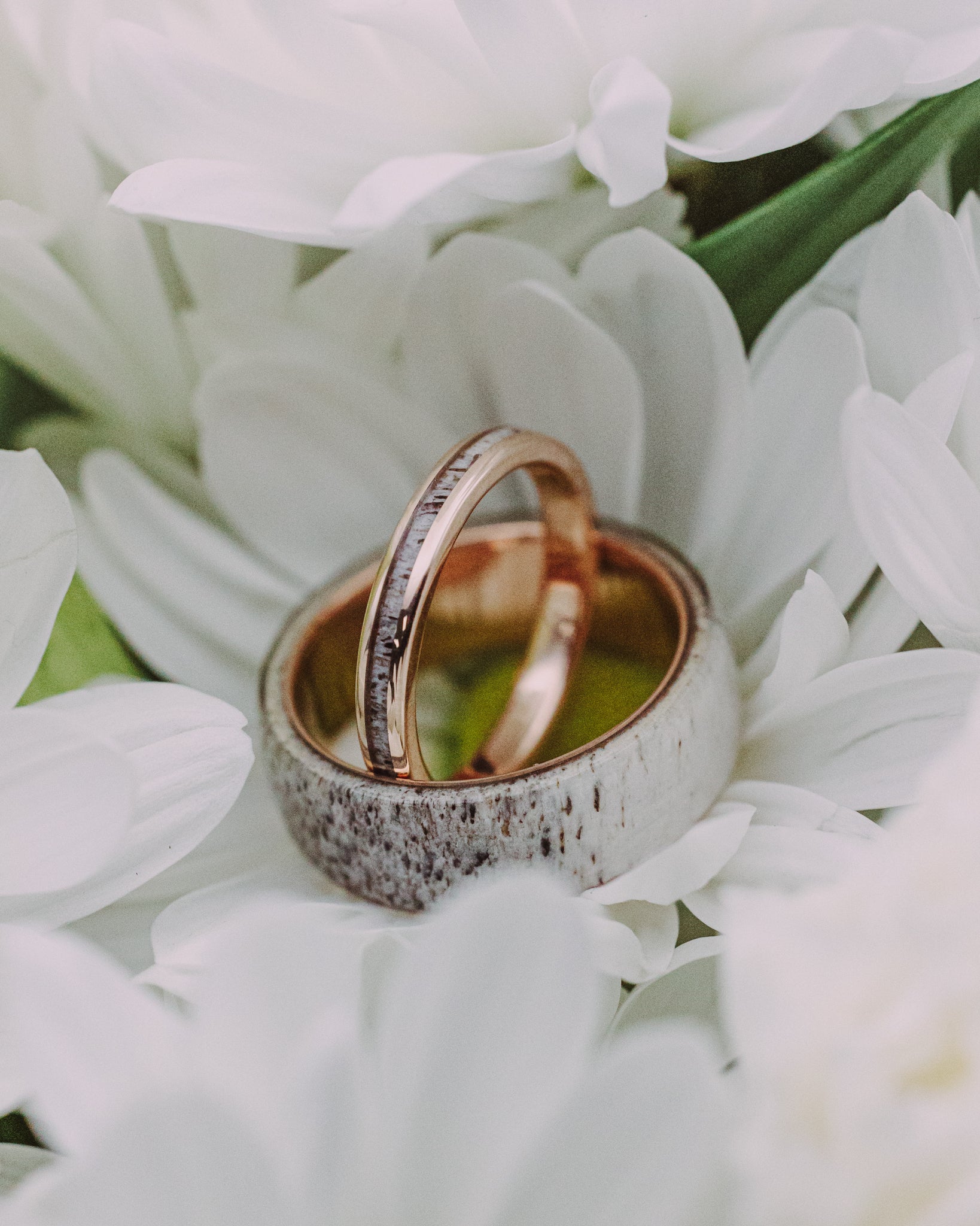Two wedding rings on a bed of white flowers