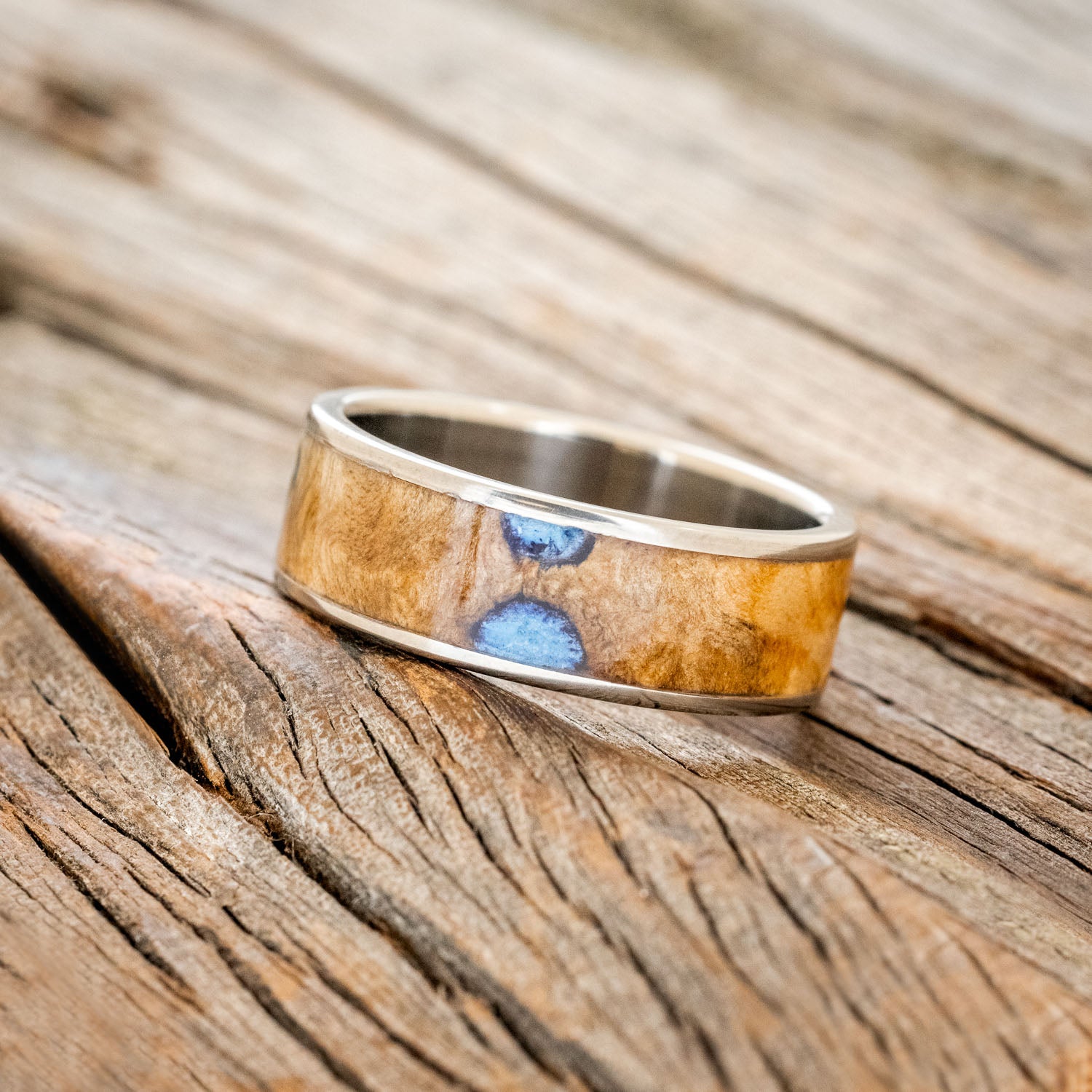 "RAINIER" - BUCKEYE BURL & TURQUOISE WEDDING BAND-2