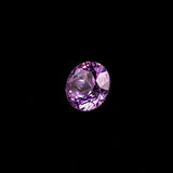 "LONE" - ROUND CUT PURPLE-PINK MONTANA SAPPHIRE-5