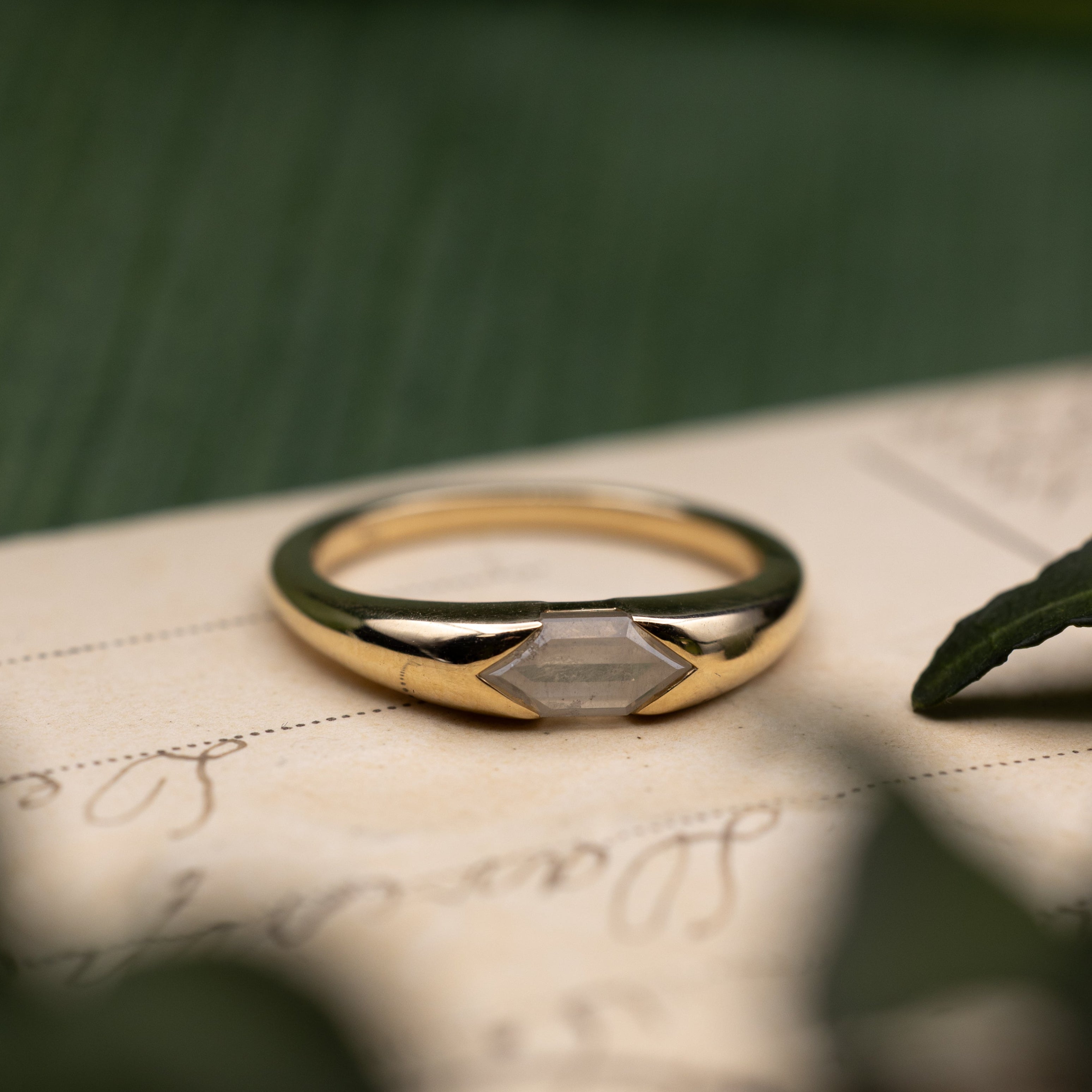 Yellow gold ring with salt & pepper diamond on a vintage letter against a blurred green background