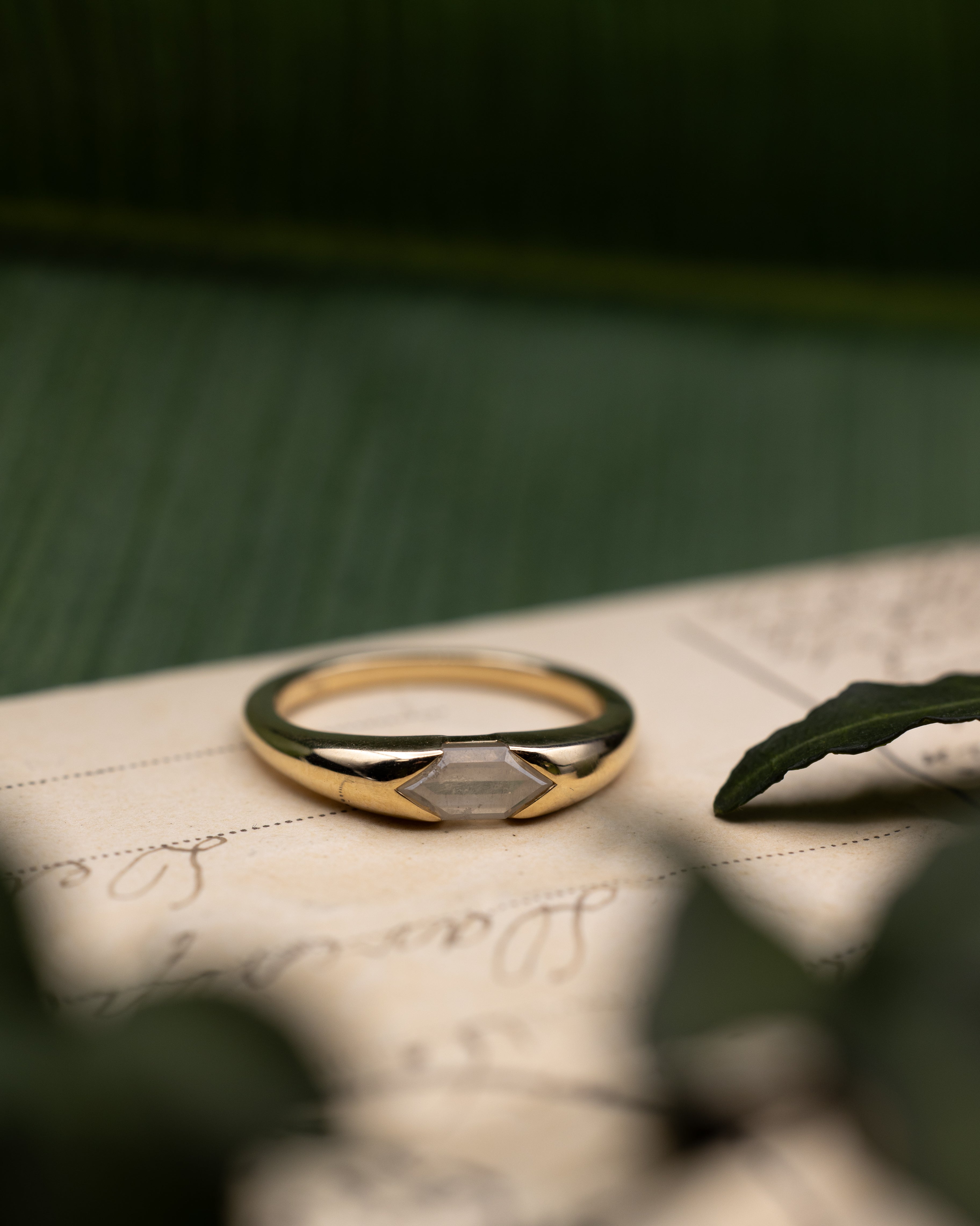 Yellow gold ring with salt & pepper diamond on a vintage letter against a blurred green background