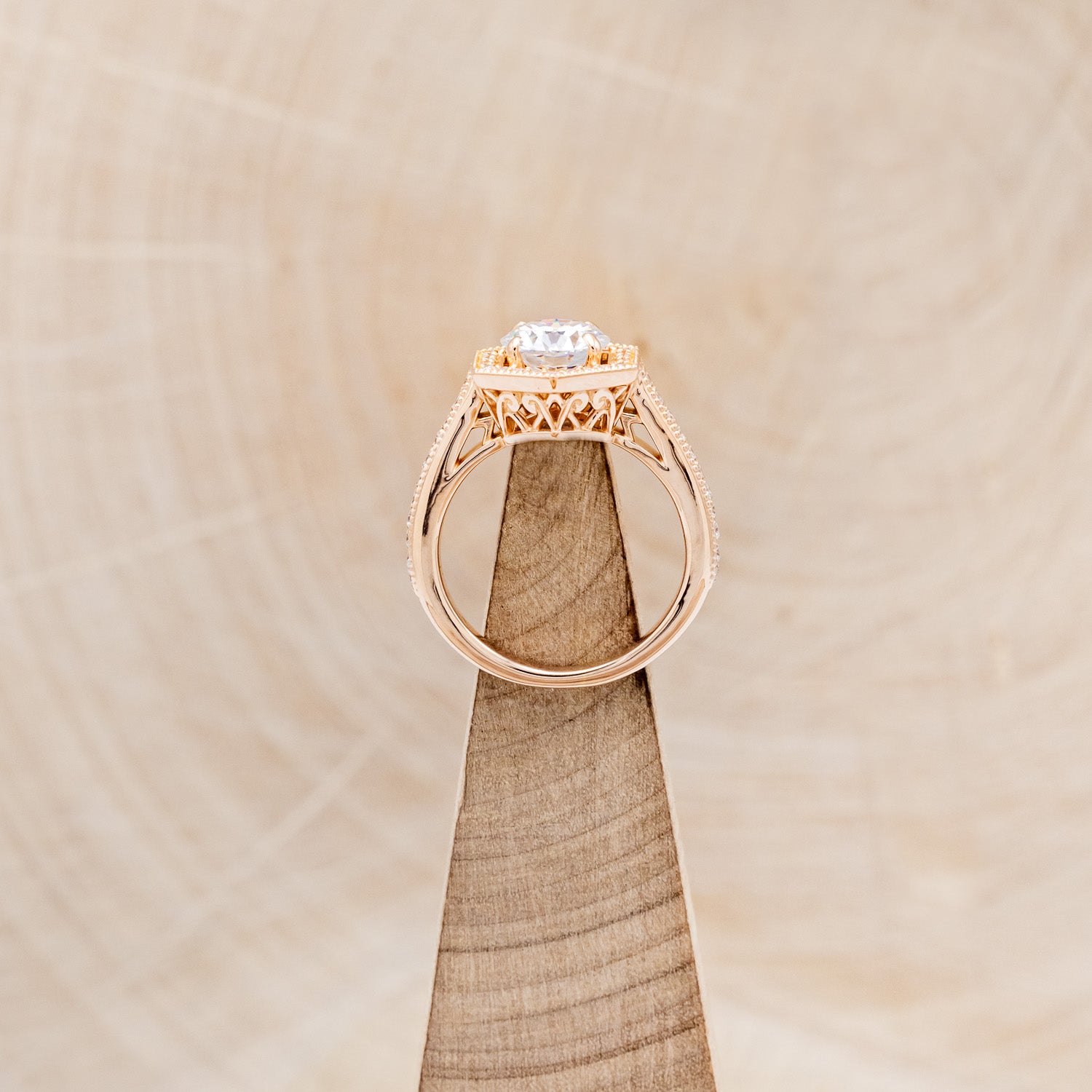 "ODESSA" - ROUND CUT MOISSANITE ENGAGEMENT RING WITH DIAMOND ACCENTS & TRACER-12