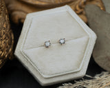 1/5ct ROUND SALT & PEPPER DIAMOND STUD PRESS FIT EARRINGS-Staghead Designs