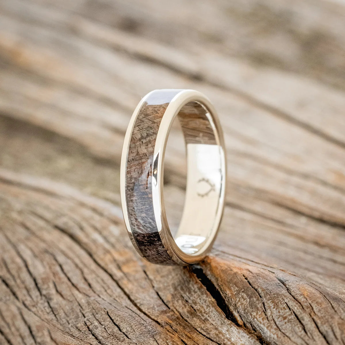"Rainier" - Dark Maple Wood Wedding Ring - Titanium (6mm) - Size 10