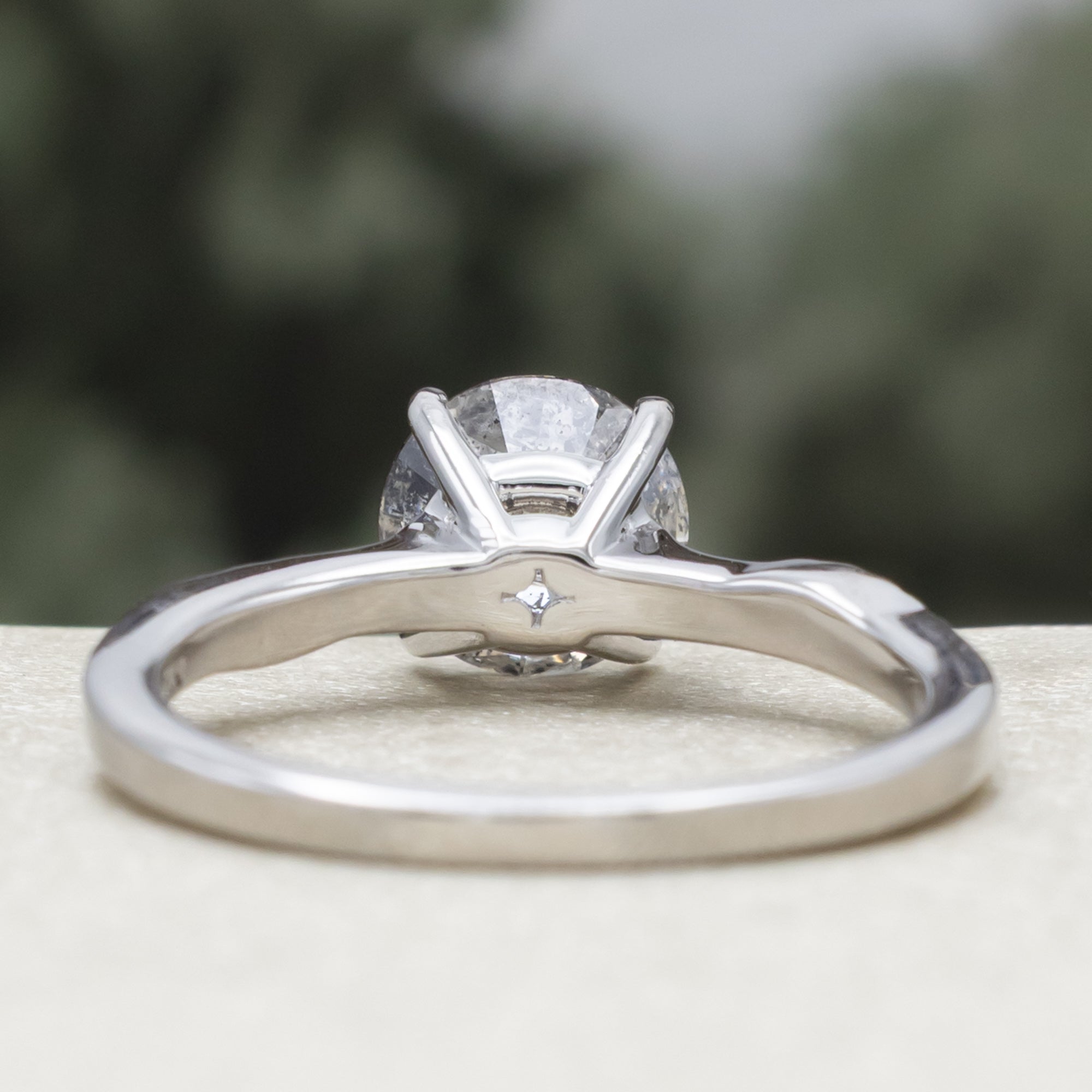 White gold ring with round salt & pepper diamond in front of a blurred green background