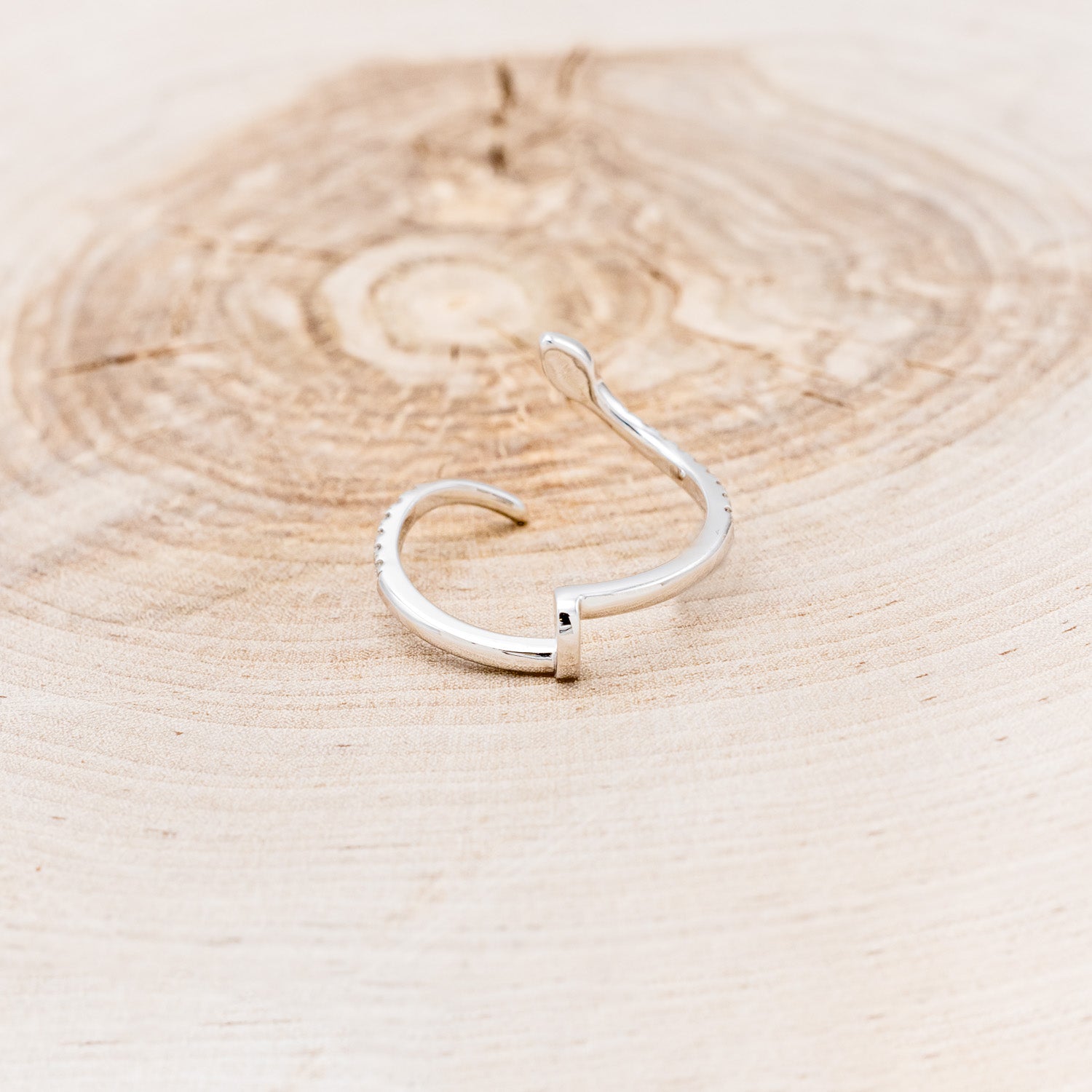 "SERPENT" - DIAMOND ACCENTED SNAKE RING GUARD-5