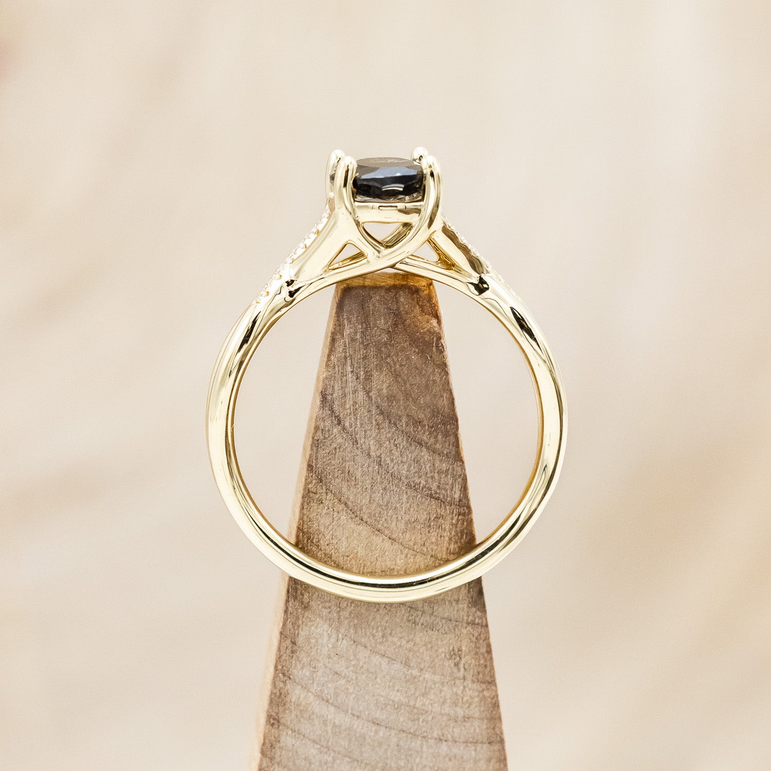 "Roslyn" - Salt & Pepper Diamond Engagement Ring With Diamond Accents-Staghead Designs