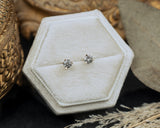 1/5ct ROUND SALT & PEPPER DIAMOND STUD PRESS FIT EARRINGS-Staghead Designs