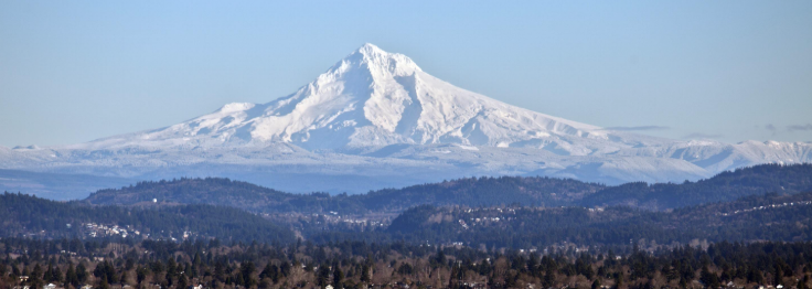 Custom Listing for Kjrsti H-Staghead Designs