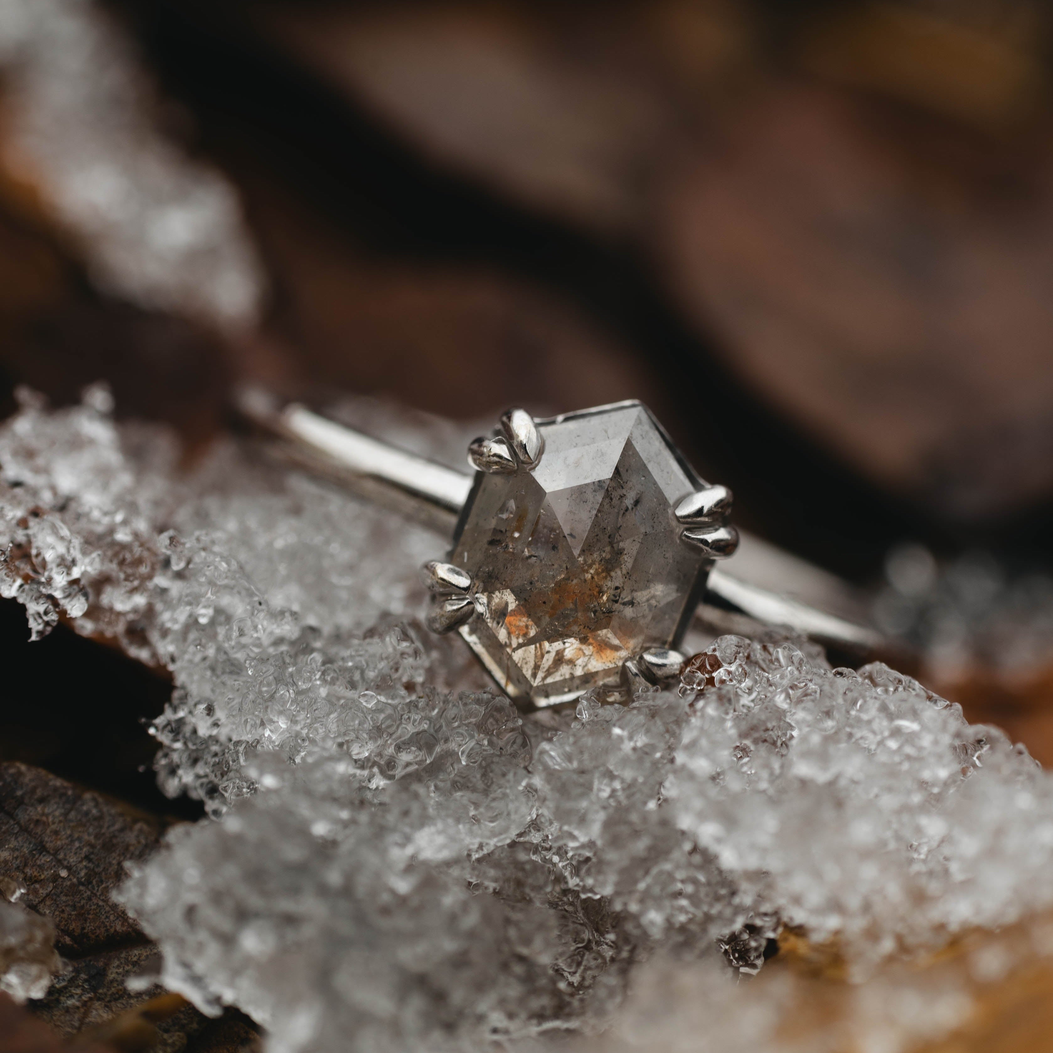 White gold ring with a hexagon salt & pepper diamond on a bed of ice surrounded by dead leaves