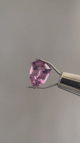 "EPIPHANY" - SHIELD CUT FANCY SPINEL