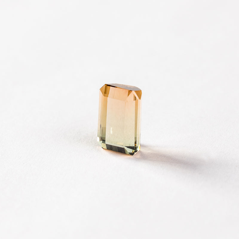 "MORELA" - EMERALD CUT BI-COLOR TOURMALINE-2