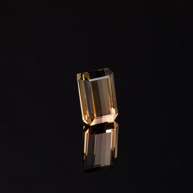 "MORELA" - EMERALD CUT BI-COLOR TOURMALINE-6