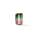 "SUMMER" - EMERALD CUT BI-COLOR TOURMALINE-1