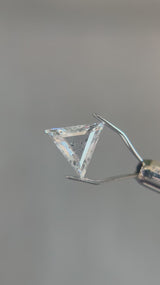 "VÉRONIQUE" - TRIANGLE DOUBLE CUT SALT & PEPPER DIAMOND