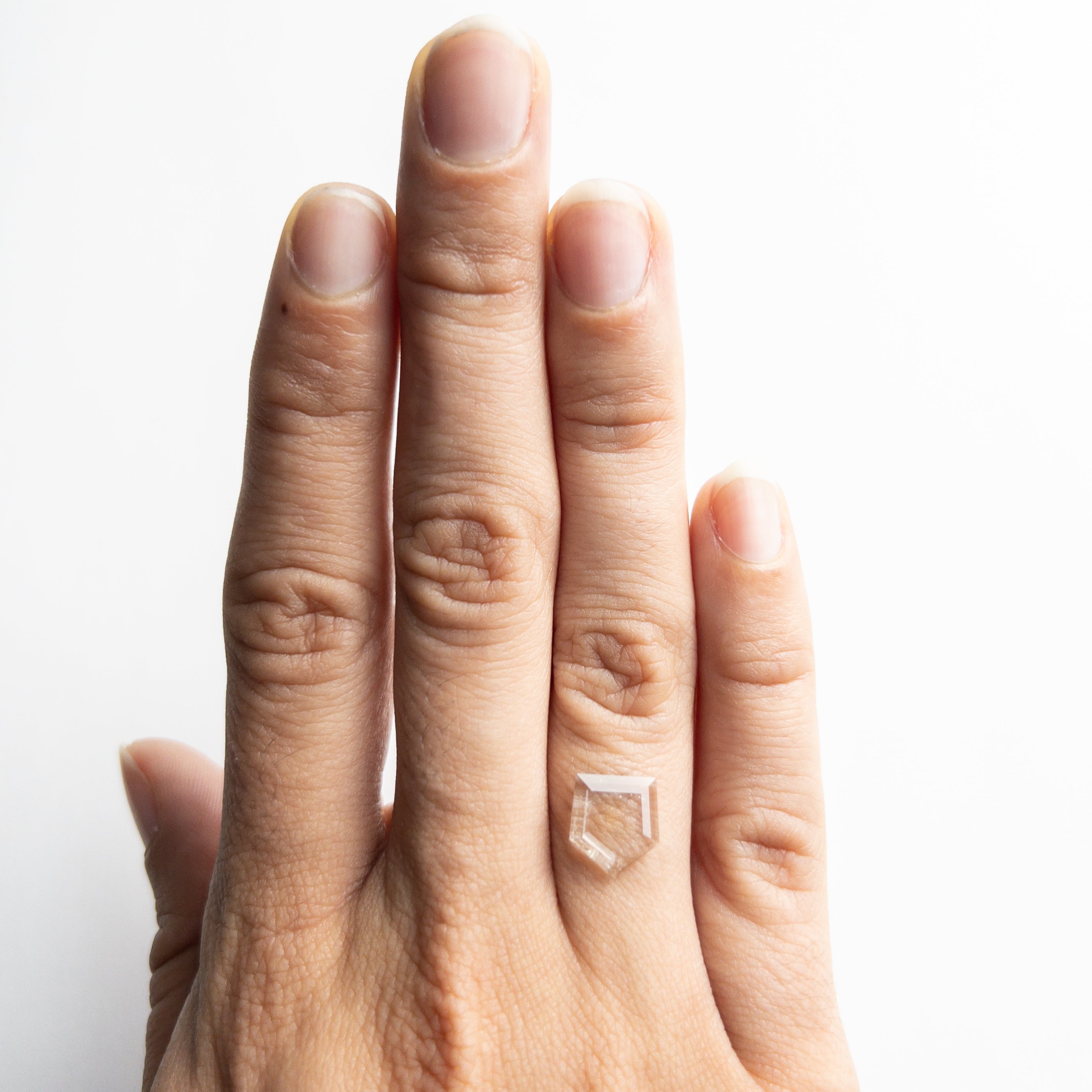 1.00ct 9.65x8.90x0.99mm Shield Portrait Cut Sapphire 22392-01-Staghead Designs