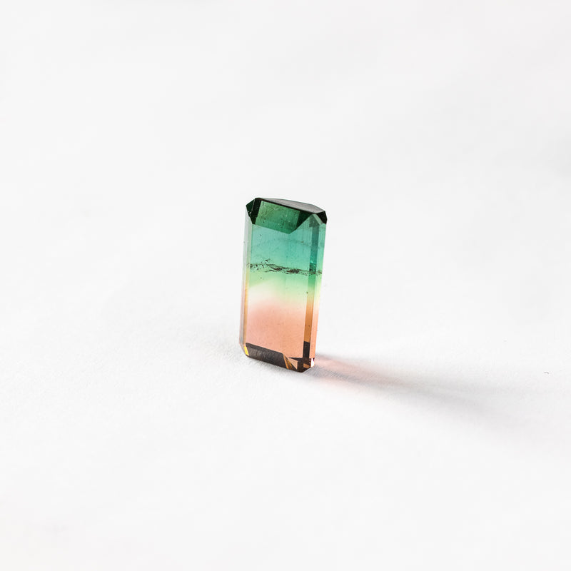 "THALIA" - EMERALD CUT BI-COLOR TOURMALINE-3