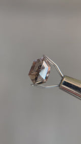 1.23ct 9.37x6.12mm HEXAGON ROSE CUT SALT & PEPPER DIAMOND