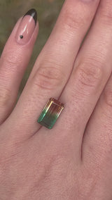 "THALIA" - EMERALD CUT BI-COLOR TOURMALINE