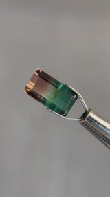 "THALIA" - EMERALD CUT BI-COLOR TOURMALINE