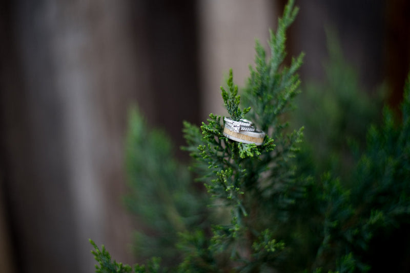 "CANYON" - SPALTED MAPLE & ANTLER WEDDING BAND - READY TO SHIP-14