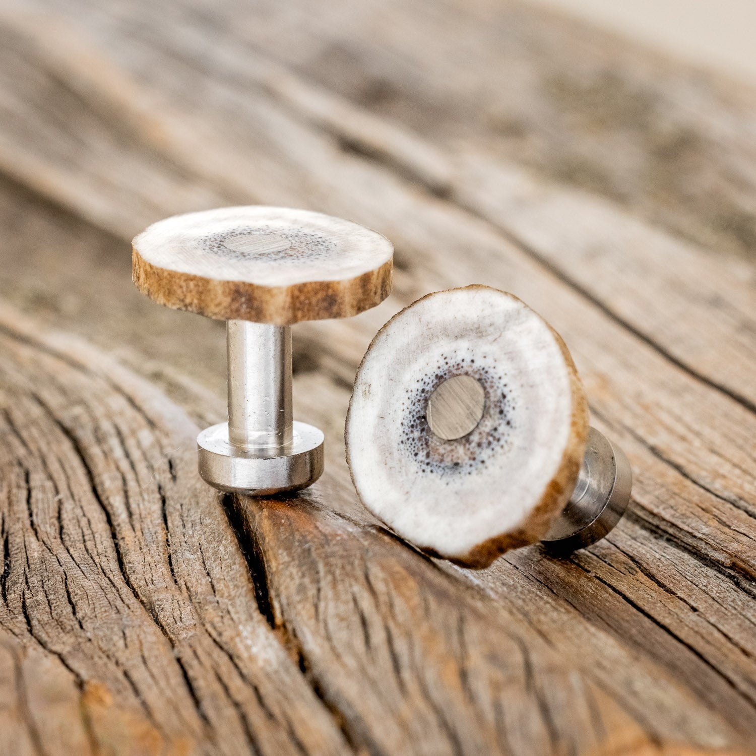 ELK ANTLER CUFFLINKS WITH TITANIUM BASES-2