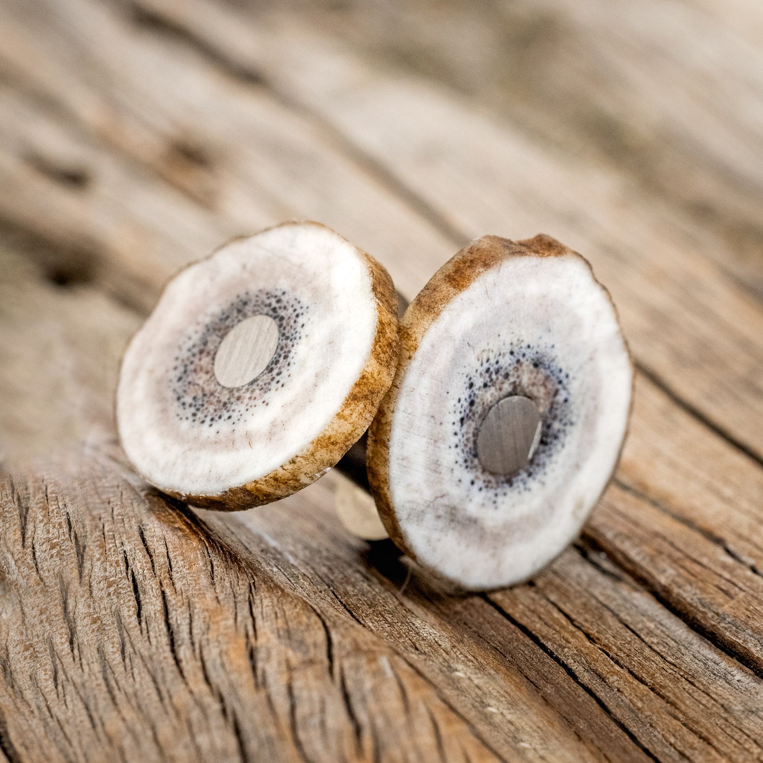 ELK ANTLER CUFFLINKS WITH TITANIUM BASES-4