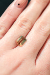 "MORELA" - EMERALD CUT BI-COLOR TOURMALINE-8