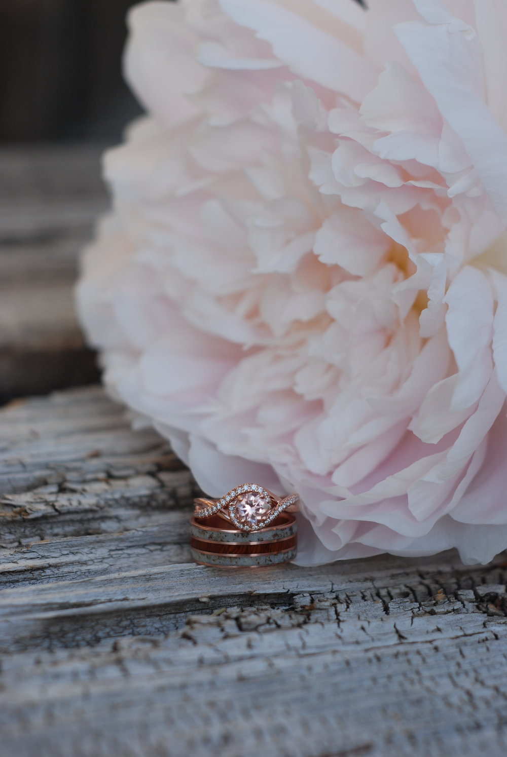 "CHARLOTTE" - ROUND CUT MORGANITE ENGAGEMENT RING WITH DIAMOND ACCENTS-20