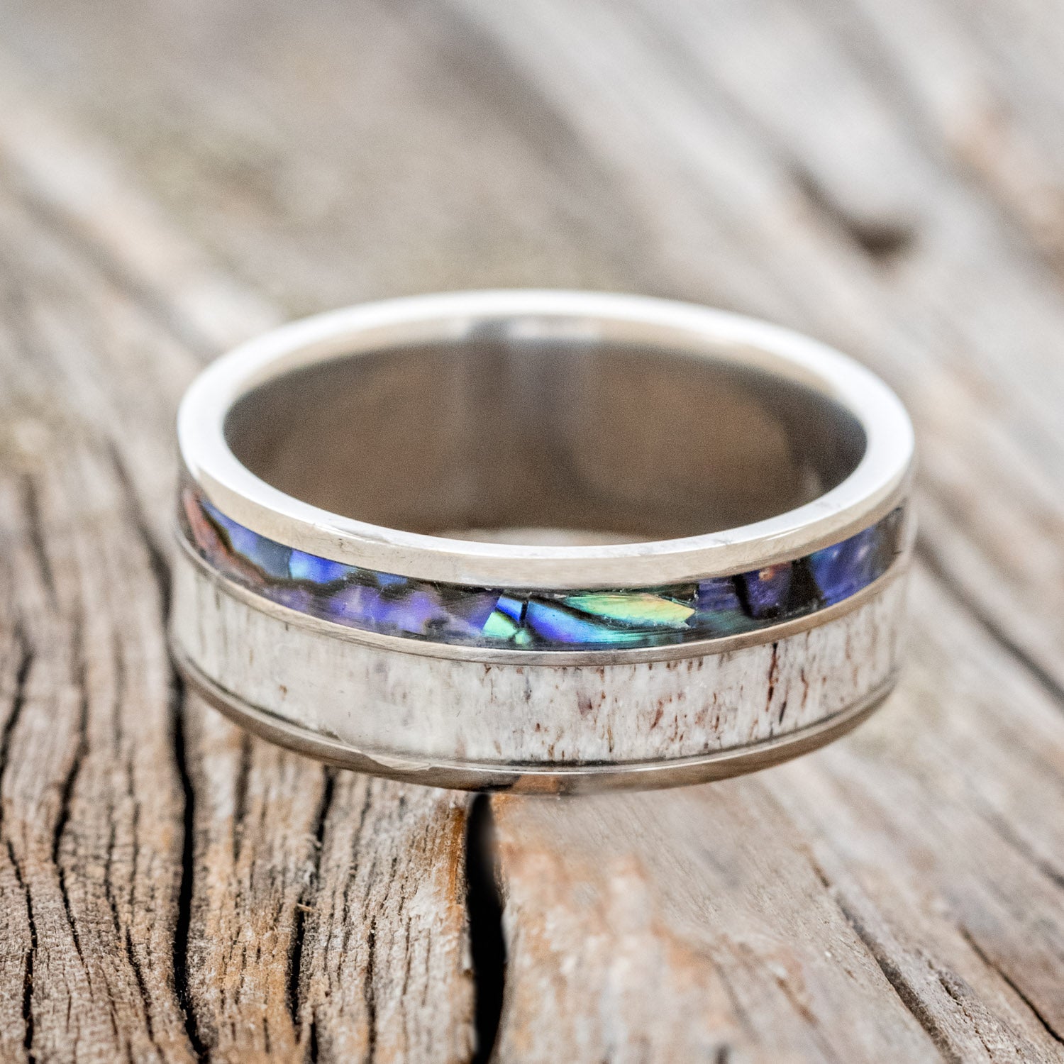 "RAPTOR" - PAUA SHELL & ANTLER WEDDING BAND-3