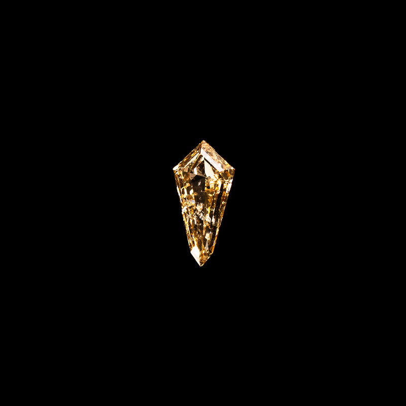 "VIVIENNE" - KITE CUT CHAMPAGNE SALT & PEPPER DIAMOND