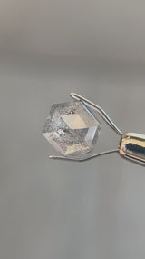 2.53ct 8.38x9.82x3.39mm HEXAGON ROSE CUT SALT & PEPPER DIAMOND