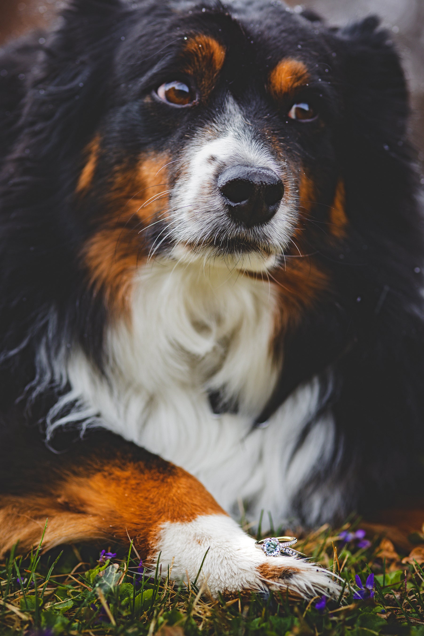 "TRIDENT" - DIAMOND & PATINA COPPER WEDDING BAND-5